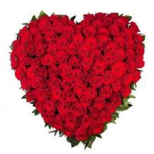 Roses splendor